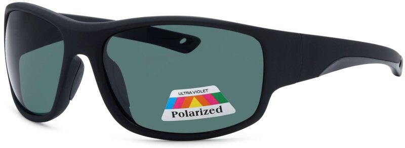 Black frame polarized sunglasses